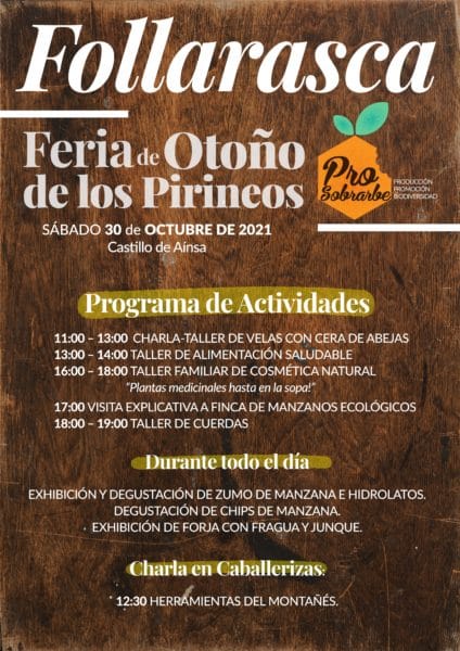 Villa de Ainsa - Sobrarbe Pirineo cartel Follarasca 2021 programa actividades 1