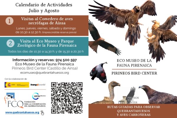 Villa de Ainsa - Sobrarbe Pirineo Rutas guiadas para observar quebrantahuesos y aves carro¦eras page 0001