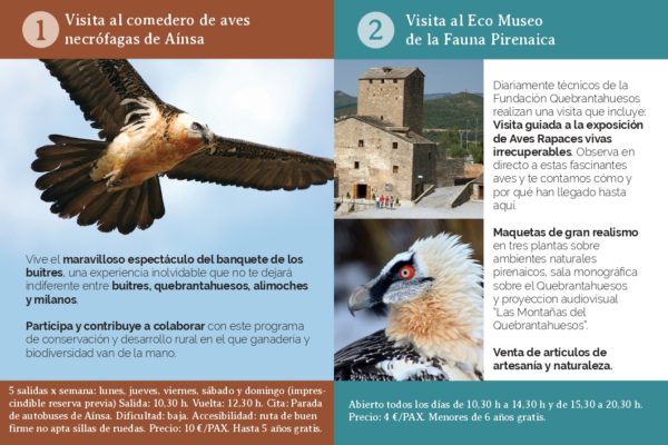 Villa de Ainsa - Sobrarbe Pirineo Rutas guiadas para observar quebrantahuesos y aves carro¦eras page 0002