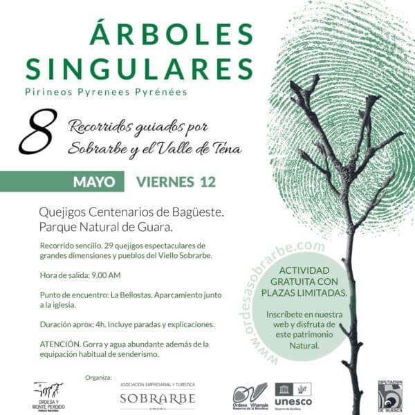 Villa de Ainsa - Sobrarbe Pirineo ARBOLES SINGULARES SALIDA 12 DE MAYO