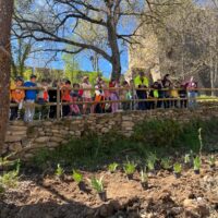 Más de 200 escolares de Aínsa ayudan a revitalizar con árboles y plantas aromáticas el acceso al frente norte del Castillo
