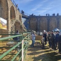 La Ferieta de Aínsa concluye una edición con el ganado como eje central y gran protagonista de todas las actividades