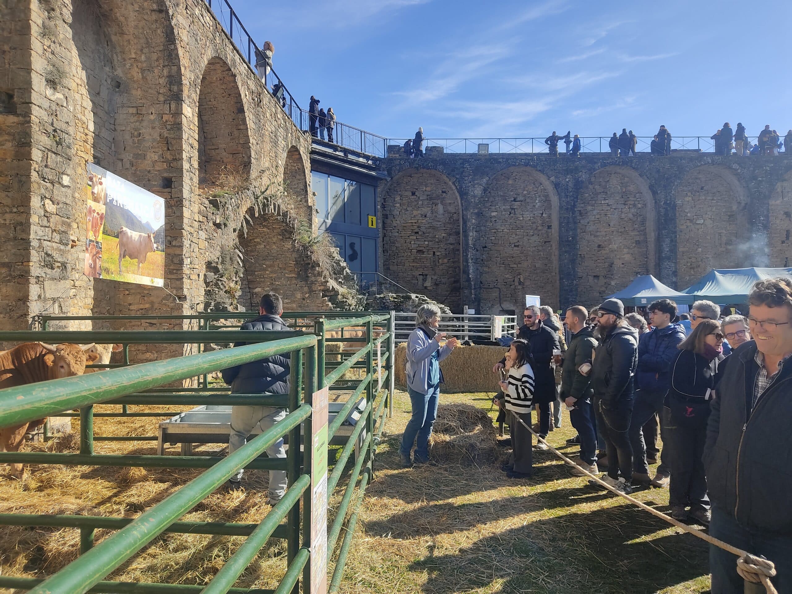 Villa de Ainsa - Sobrarbe Pirineo Asistentes escuchando la explicacion morfologica de ganado scaled