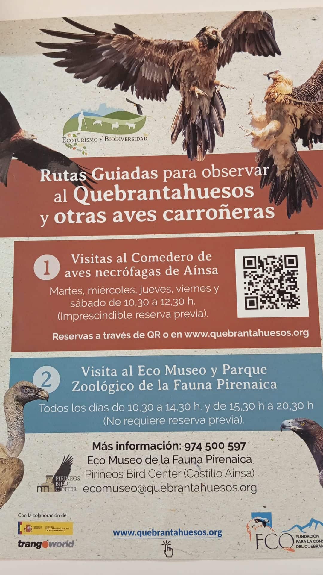 Villa de Ainsa - Sobrarbe Pirineo visitas comedero ainsa