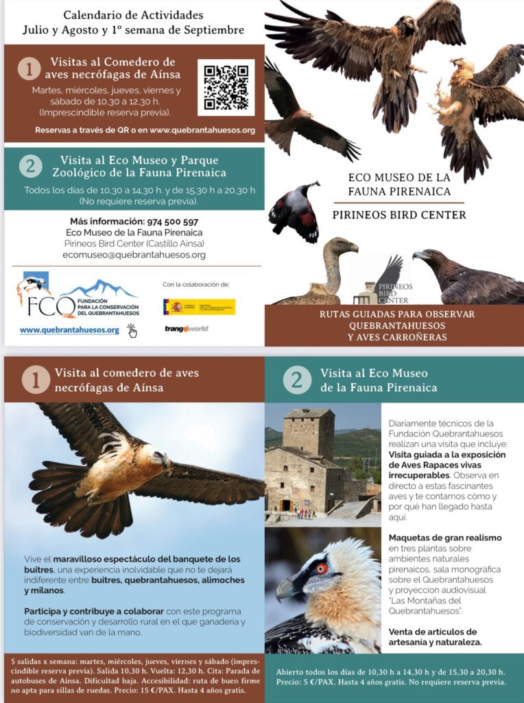 RUTAS GUIADAS PARA OBSERVAR QUEBRANTAHUESOS Y AVES CARROÑERAS