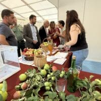 Aínsa lidera el nuevo proyecto de cooperación 'Sidrarbe'
