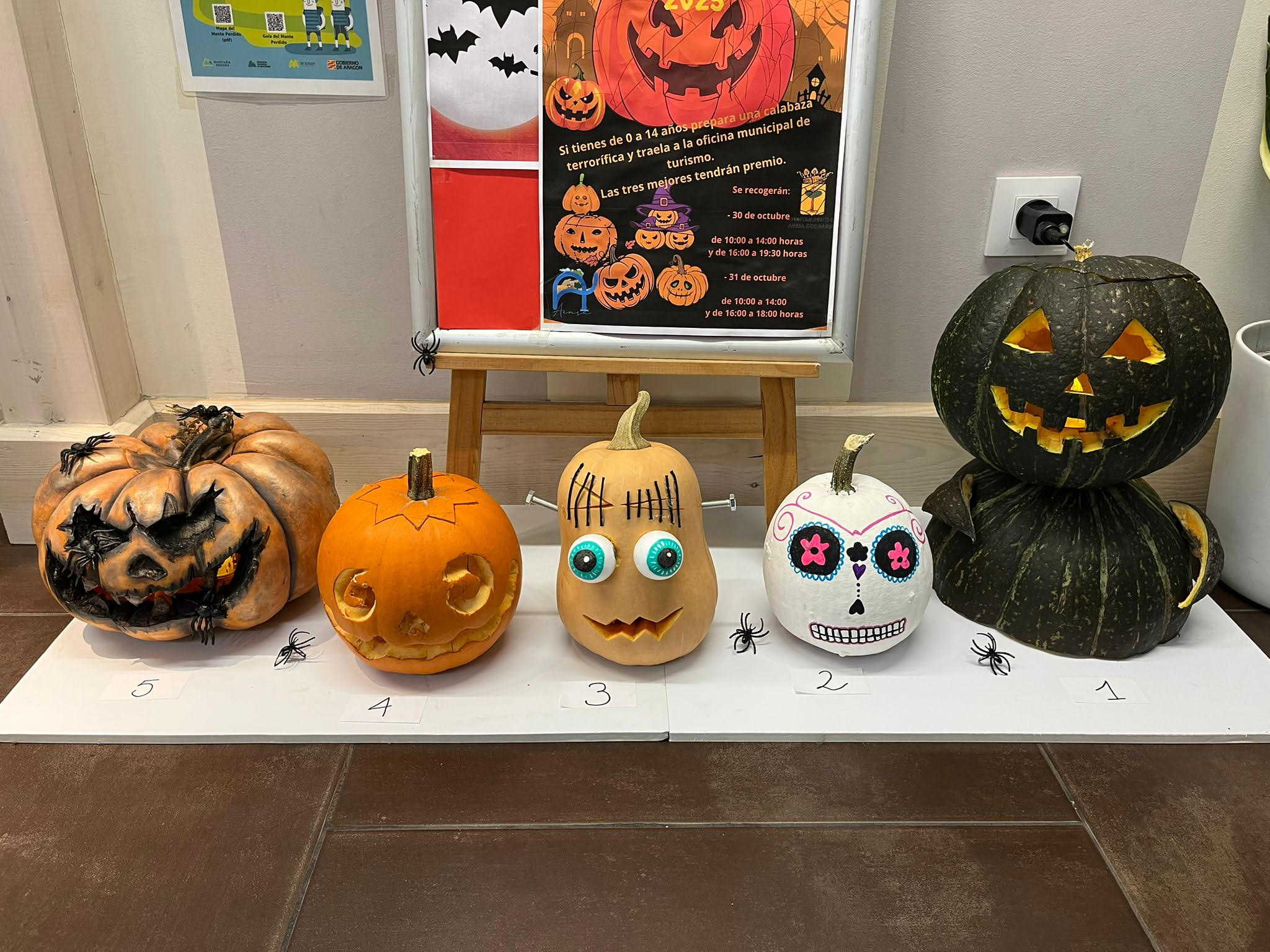 Villa de Ainsa - Sobrarbe Pirineo Aínsa cierra el mes de octubre con 6.800 personas visitando las oficinas de turismo de la localidad 2 Villa de Ainsa - Sobrarbe Pirineo Algunas de las calabazas del concurso de Halloween