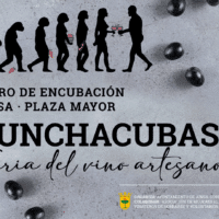 Villa de Ainsa - Sobrarbe Pirineo PUNCHACUBAS