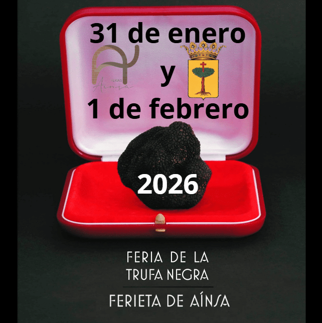 Villa de Ainsa - Sobrarbe Pirineo FERIA DE LA TRUFA 2026 1 Villa de Ainsa - Sobrarbe Pirineo FERIA TRUFA 2026 pantallas