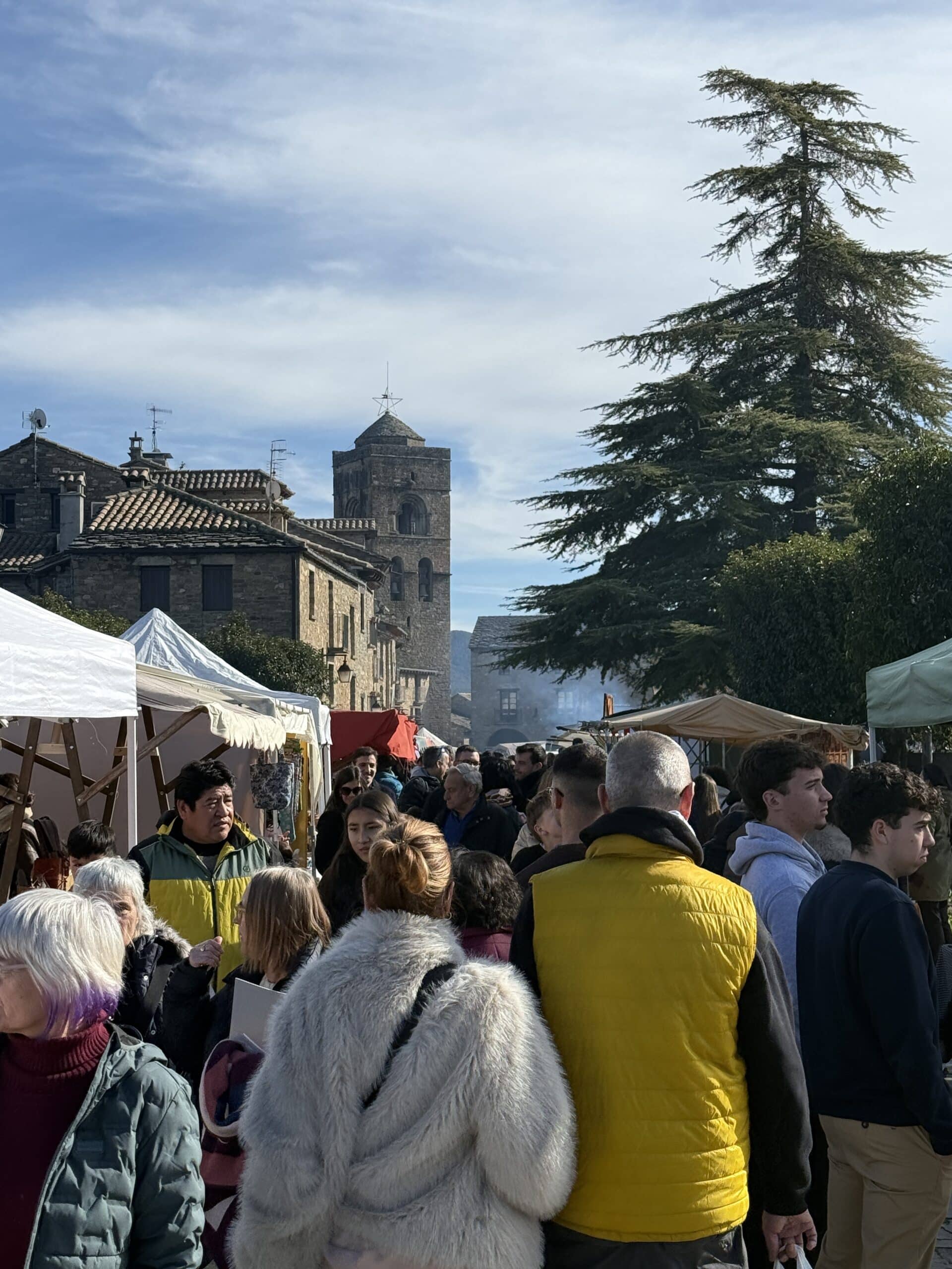 Villa de Ainsa - Sobrarbe Pirineo Pasillo hacia la plaza a rebosar scaled