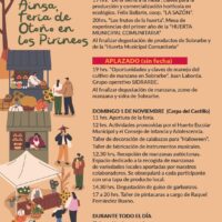 Villa de Ainsa - Sobrarbe Pirineo FOLLARASCA ACTUALIZADO