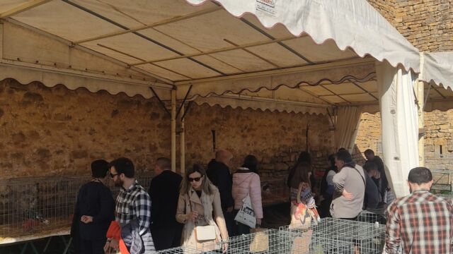 La Ferieta de Aínsa 2024 La Ferieta de Aínsa 2024