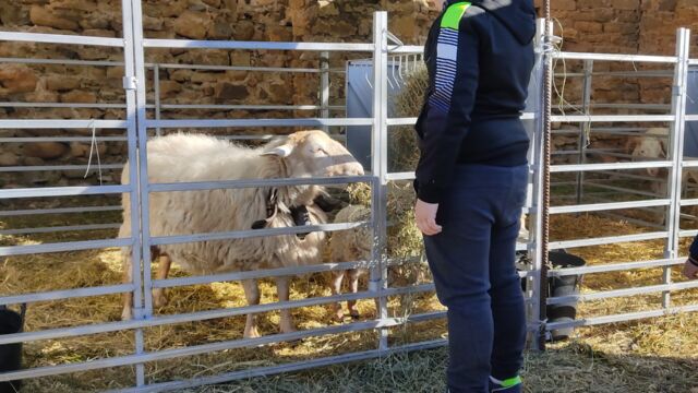 La Ferieta de Aínsa 2024 La Ferieta de Aínsa 2024