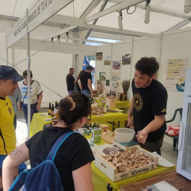 Expoferia Ainsa 2024, Sobrarbe, Pirineo Aragonés, Productos Locales, Km0, Artesanía, Productores Locales, Feria Artesanal, Agricultura Sostenible, Gastronomía Local, Turismo Rural, Tradición Aragonesa, Cultura Pirineo, Eventos Ainsa, Calidad Rural, Mercado Local, Innovación Rural, Sostenibilidad, Desarrollo Local, Experiencia Artesanal