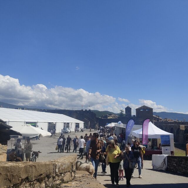 Expoferia Ainsa 2024, Sobrarbe, Pirineo Aragonés, Productos Locales, Km0, Artesanía, Productores Locales, Feria Artesanal, Agricultura Sostenible, Gastronomía Local, Turismo Rural, Tradición Aragonesa, Cultura Pirineo, Eventos Ainsa, Calidad Rural, Mercado Local, Innovación Rural, Sostenibilidad, Desarrollo Local, Experiencia Artesanal