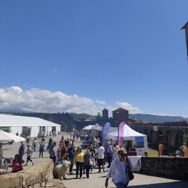 Expoferia Ainsa 2024, Sobrarbe, Pirineo Aragonés, Productos Locales, Km0, Artesanía, Productores Locales, Feria Artesanal, Agricultura Sostenible, Gastronomía Local, Turismo Rural, Tradición Aragonesa, Cultura Pirineo, Eventos Ainsa, Calidad Rural, Mercado Local, Innovación Rural, Sostenibilidad, Desarrollo Local, Experiencia Artesanal