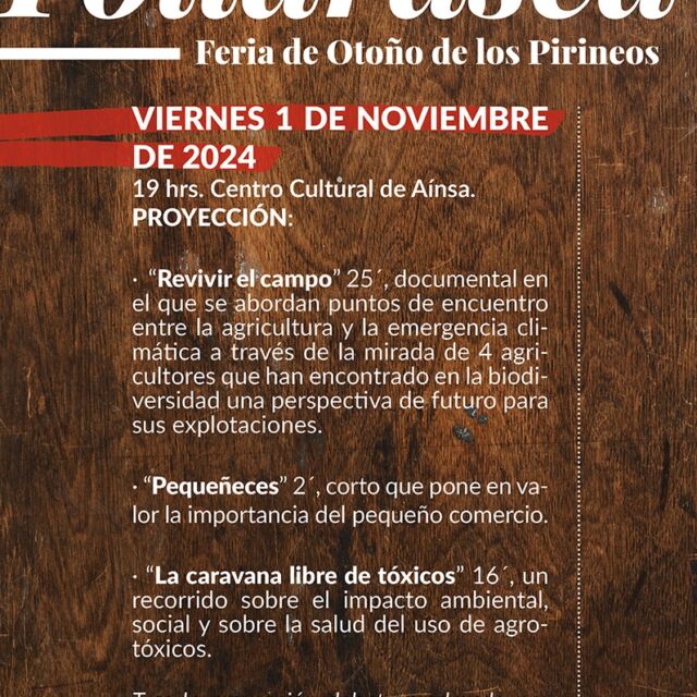 Villa de Ainsa - Sobrarbe Pirineo 3211553836