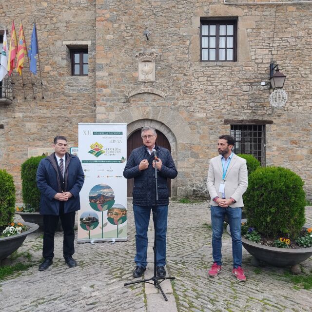Villa de Ainsa - Sobrarbe Pirineo 938534344