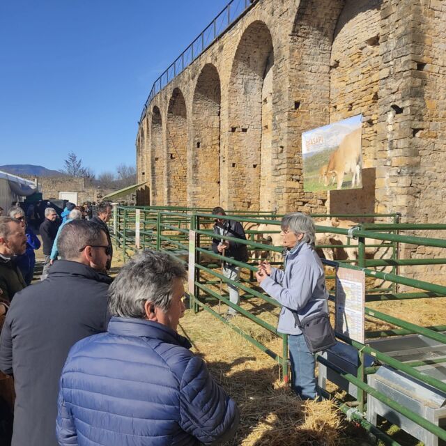 Villa de Ainsa - Sobrarbe Pirineo 823464002