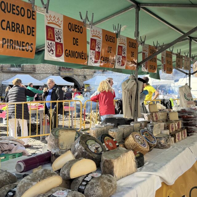 Villa de Ainsa - Sobrarbe Pirineo Ferieta de Aínsa 2026: Récord de expositores en una soleada y participativa edición de la Ferieta de Aínsa 14 Villa de Ainsa - Sobrarbe Pirineo