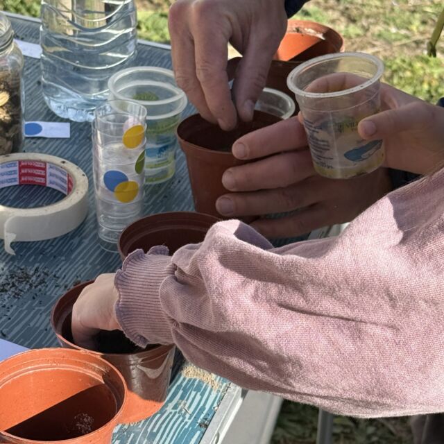 Villa de Ainsa - Sobrarbe Pirineo Ferieta de Aínsa 2026: Récord de expositores en una soleada y participativa edición de la Ferieta de Aínsa 18 Villa de Ainsa - Sobrarbe Pirineo